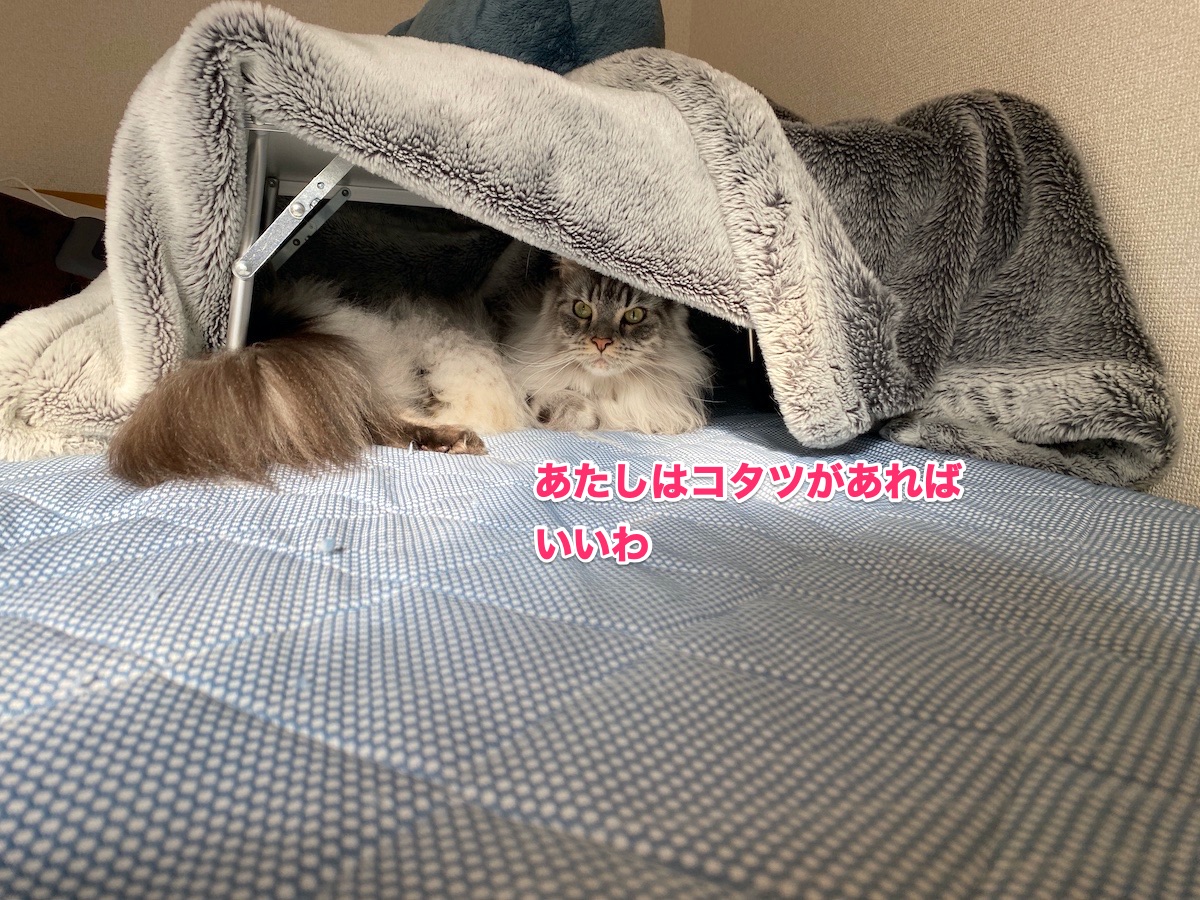 f:id:chikojirou:20201022210705j:plain