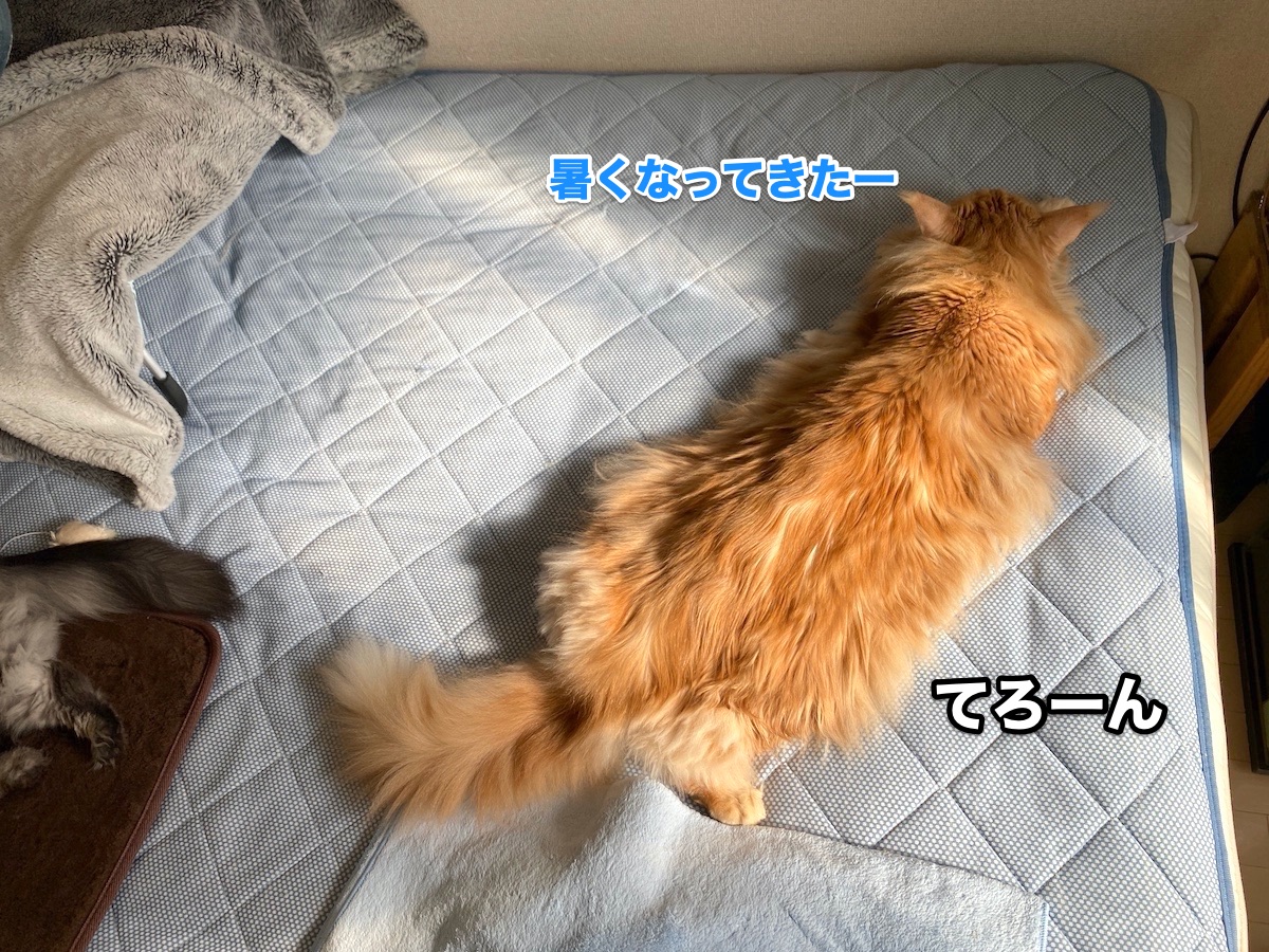 f:id:chikojirou:20201022210716j:plain