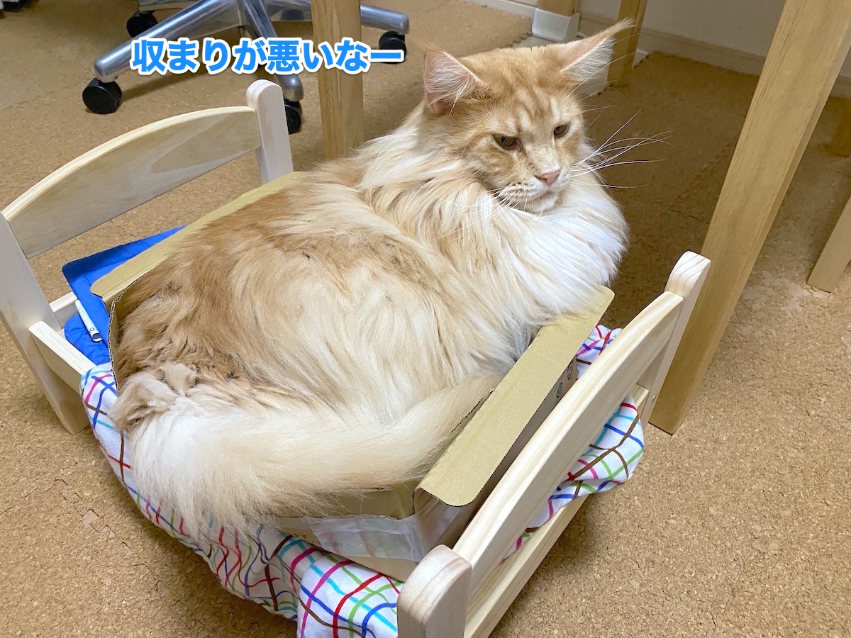 f:id:chikojirou:20201022210723j:plain