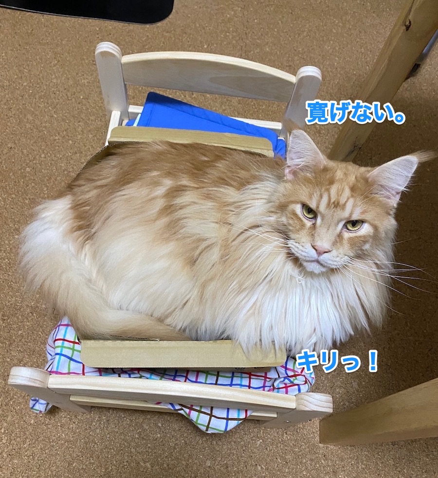 f:id:chikojirou:20201022210727j:plain