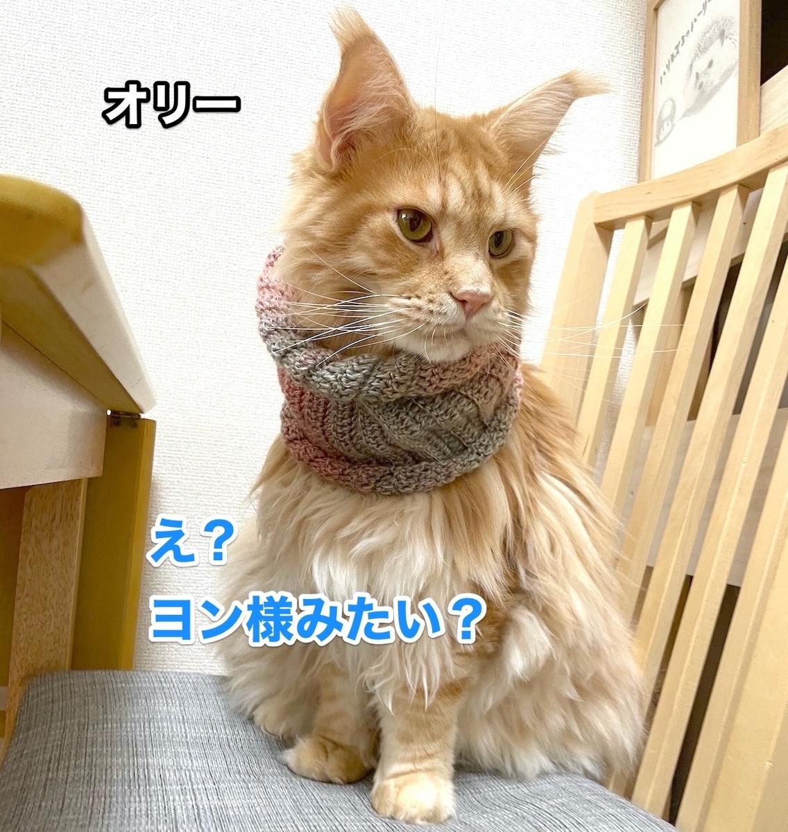 f:id:chikojirou:20201025162945j:plain
