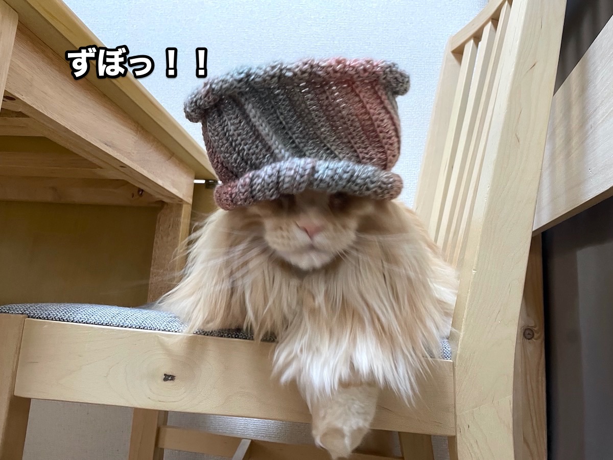 f:id:chikojirou:20201025162953j:plain