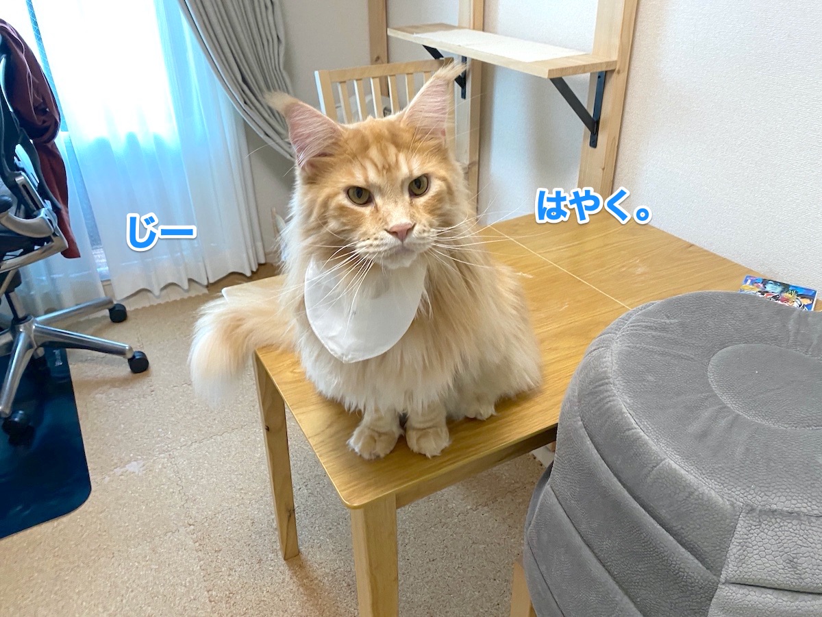f:id:chikojirou:20201026204344j:plain