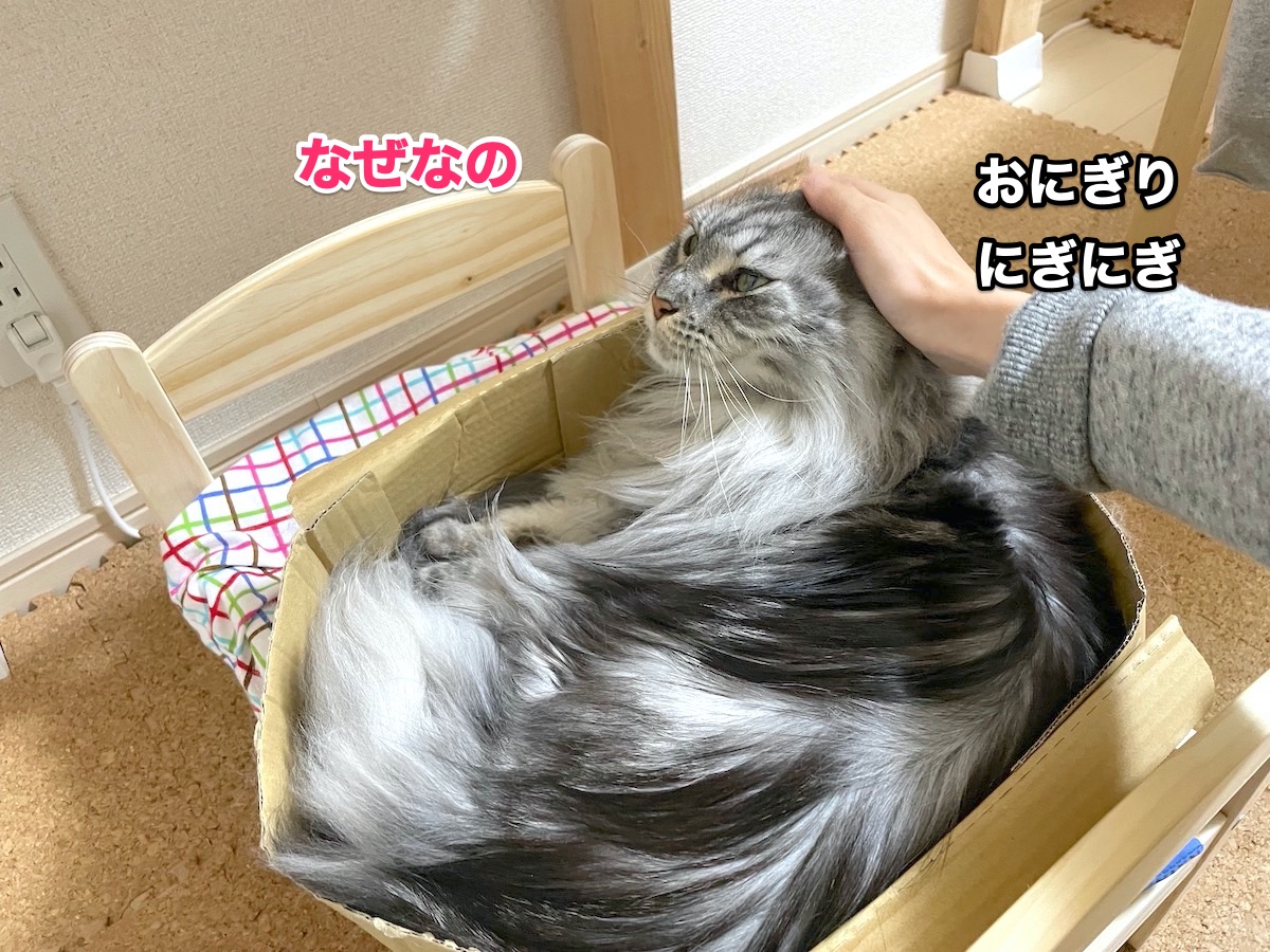f:id:chikojirou:20201026204358j:plain