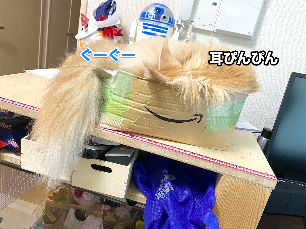 f:id:chikojirou:20201026204402j:plain