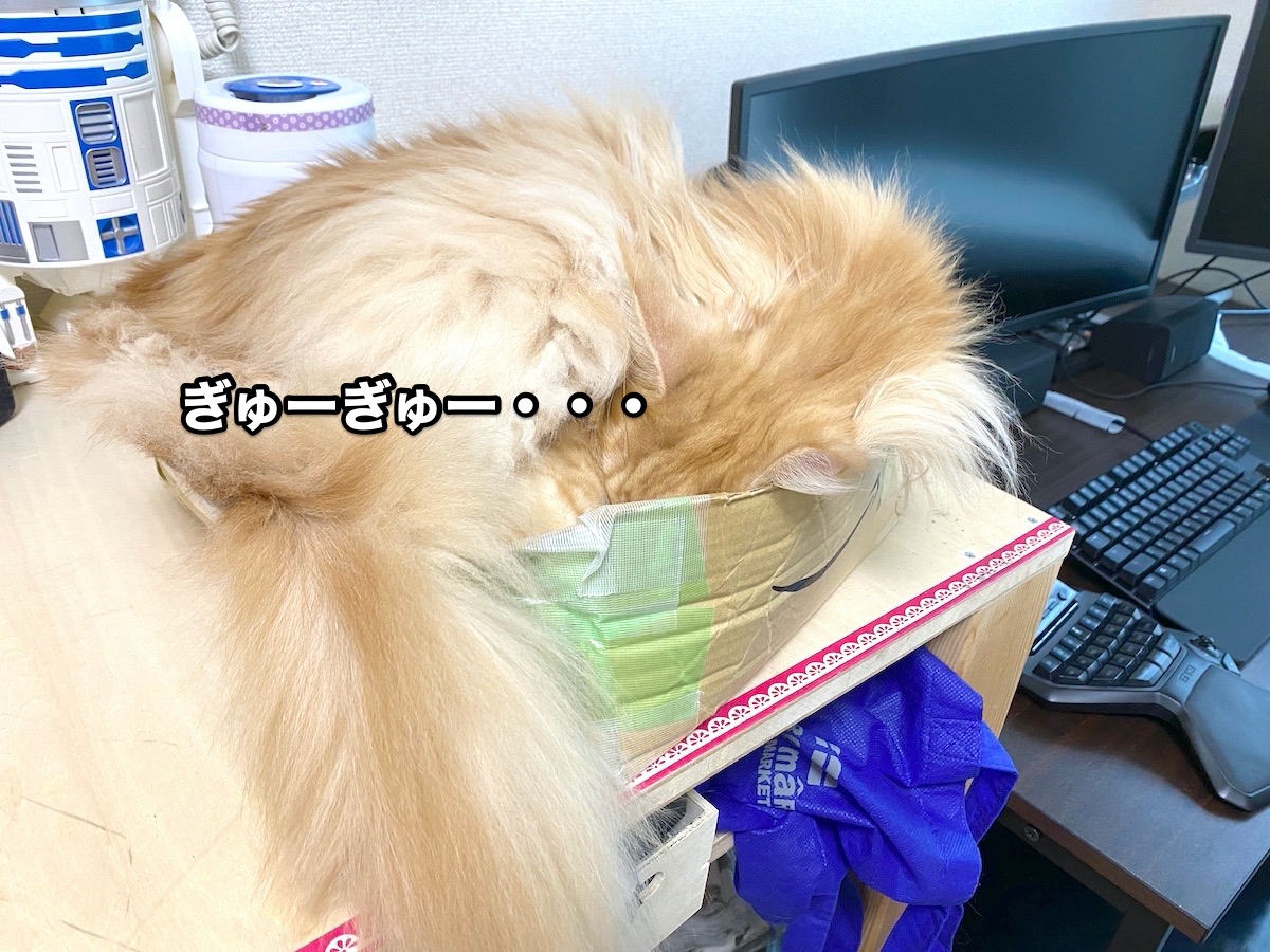 f:id:chikojirou:20201026204406j:plain