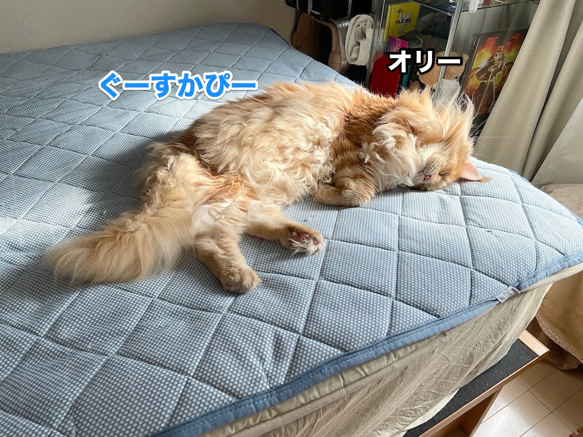 f:id:chikojirou:20201028211739j:plain