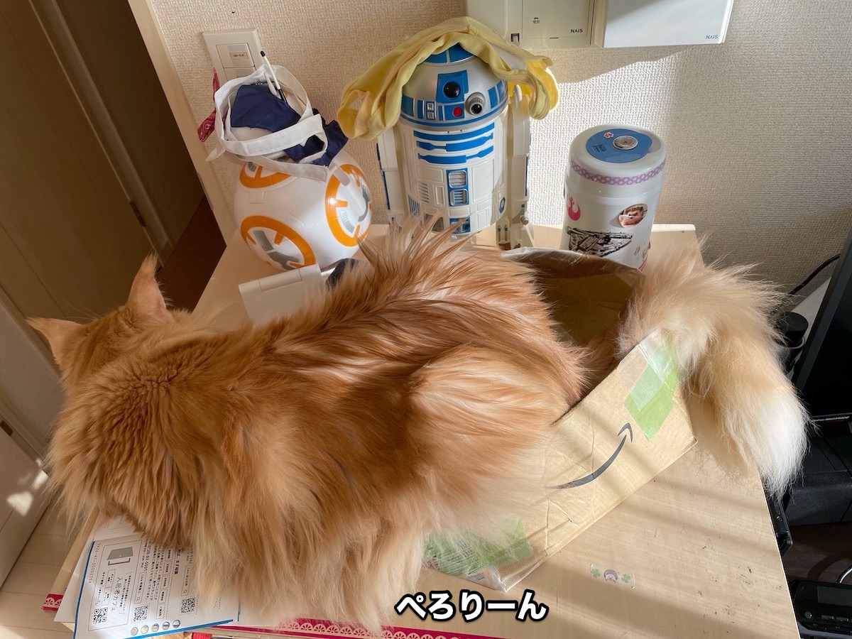 f:id:chikojirou:20201029204550j:plain