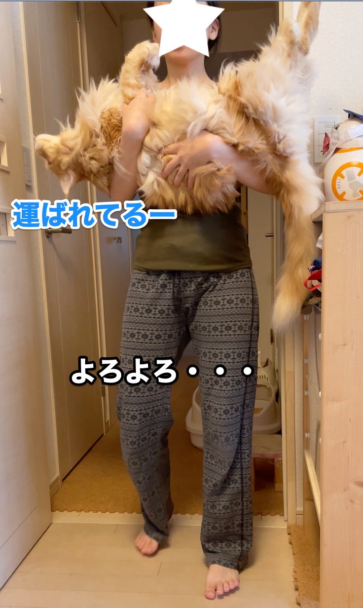 f:id:chikojirou:20201029204602j:plain