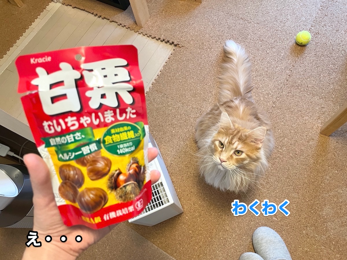 f:id:chikojirou:20201029204613j:plain