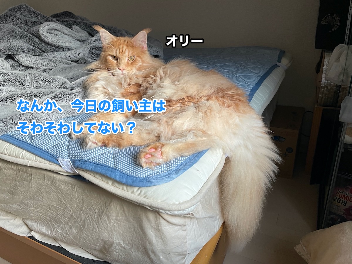 f:id:chikojirou:20201030212435j:plain f:id:chikojirou:20201030212435j:plain