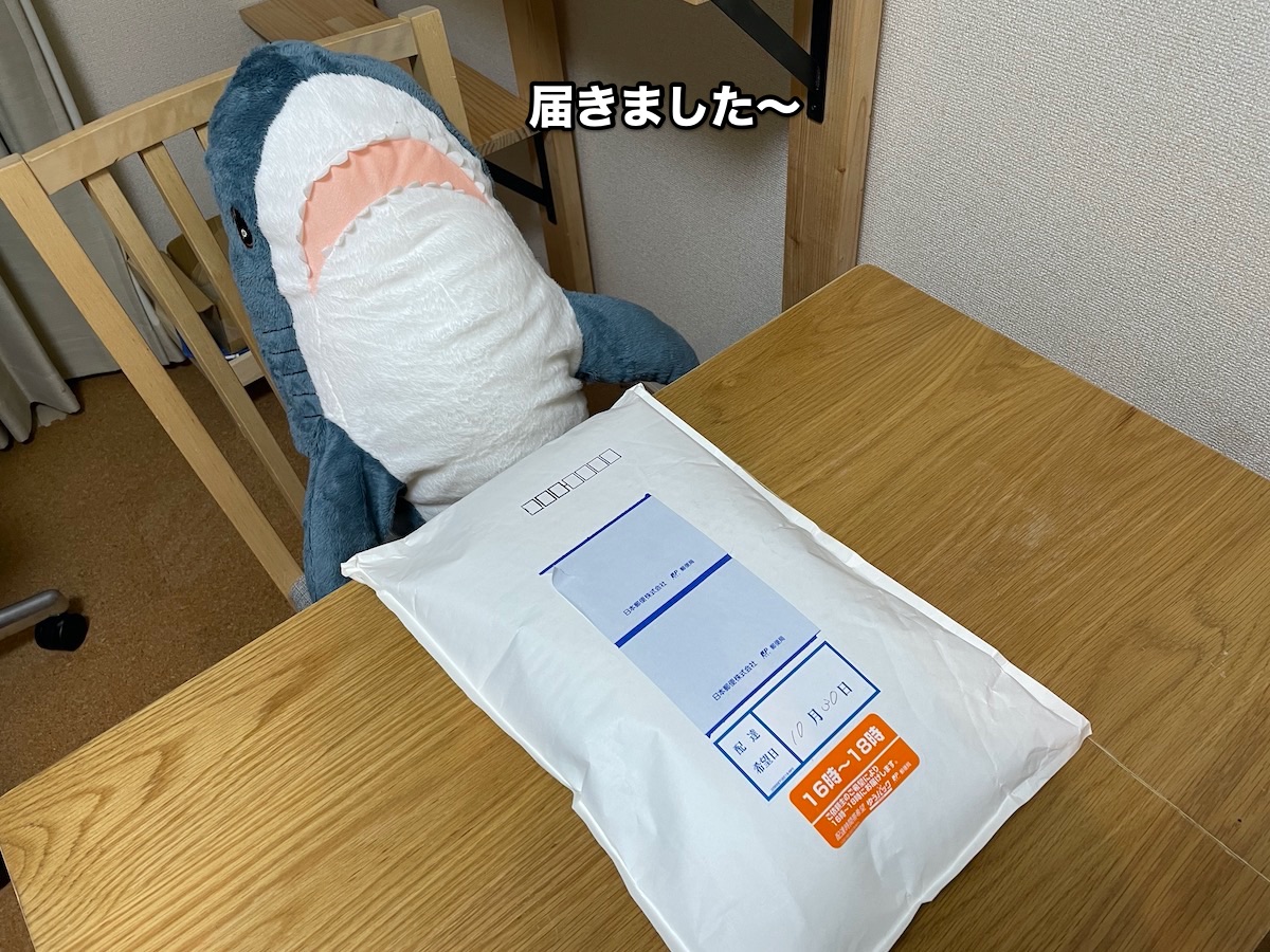 f:id:chikojirou:20201030212446j:plain f:id:chikojirou:20201030212446j:plain
