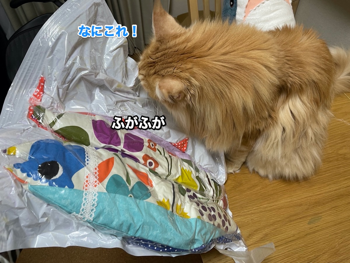 f:id:chikojirou:20201030212449j:plain f:id:chikojirou:20201030212449j:plain
