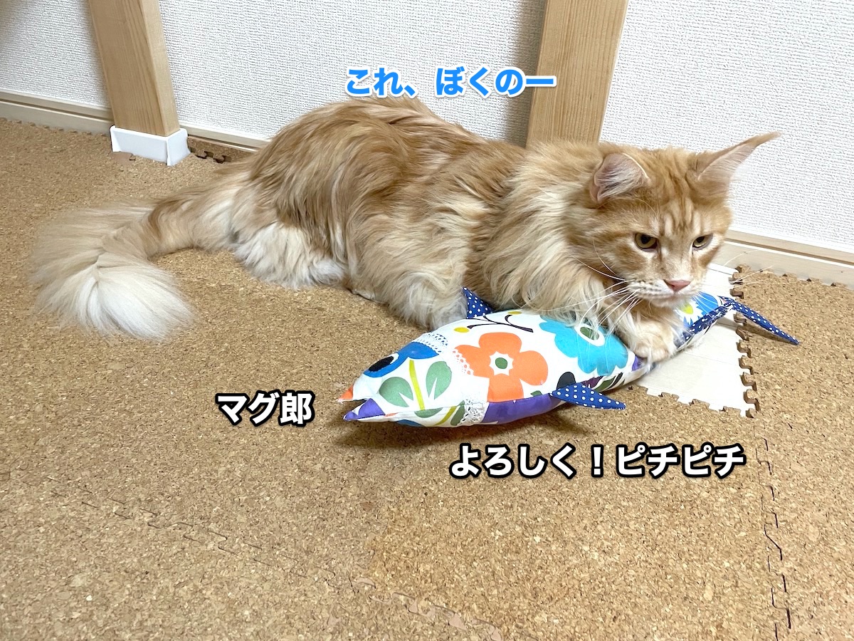 f:id:chikojirou:20201030212453j:plain f:id:chikojirou:20201030212453j:plain