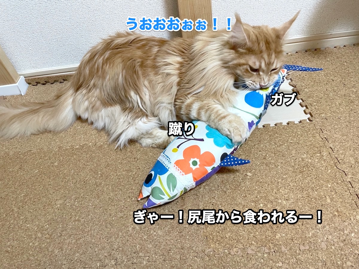 f:id:chikojirou:20201030212457j:plain f:id:chikojirou:20201030212457j:plain