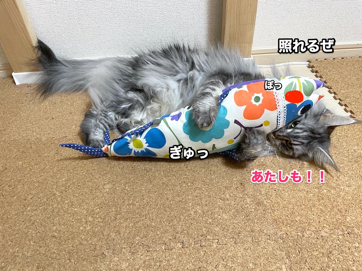 f:id:chikojirou:20201030212501j:plain f:id:chikojirou:20201030212501j:plain