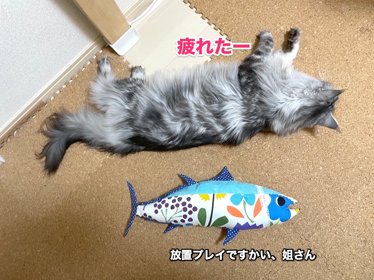 f:id:chikojirou:20201030212508j:plain f:id:chikojirou:20201030212508j:plain
