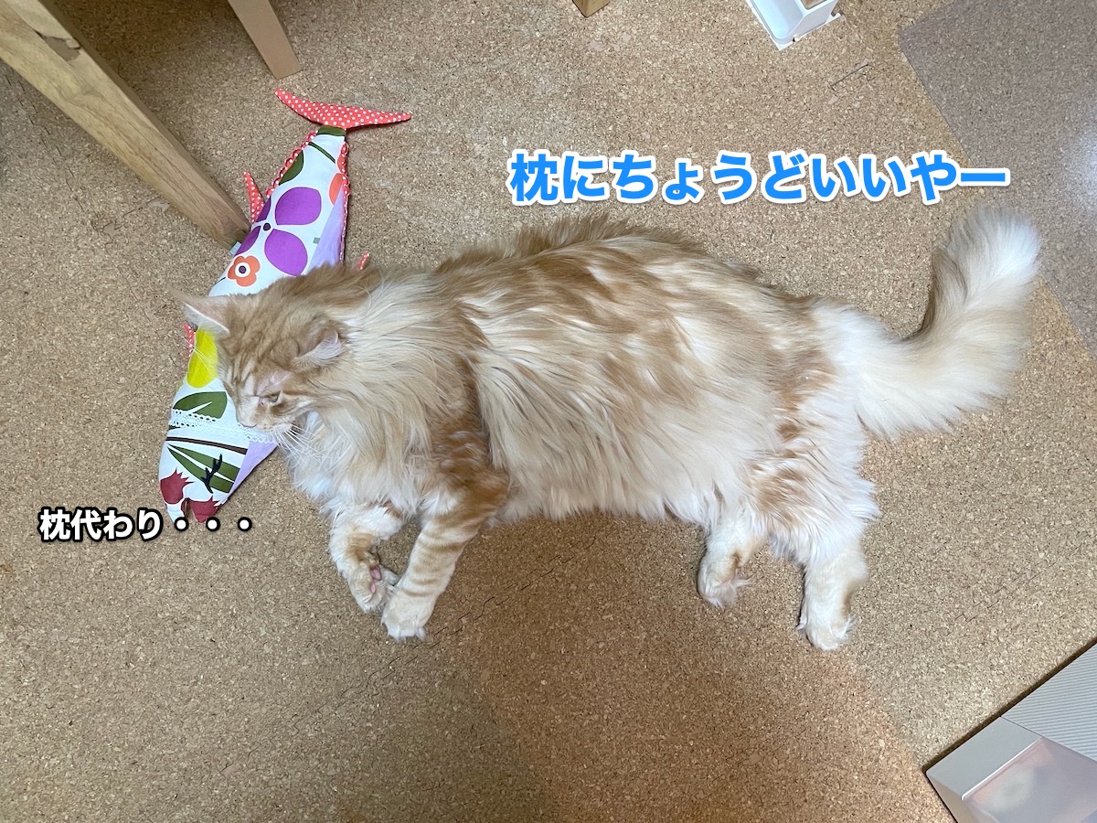 f:id:chikojirou:20201030212511j:plain f:id:chikojirou:20201030212511j:plain