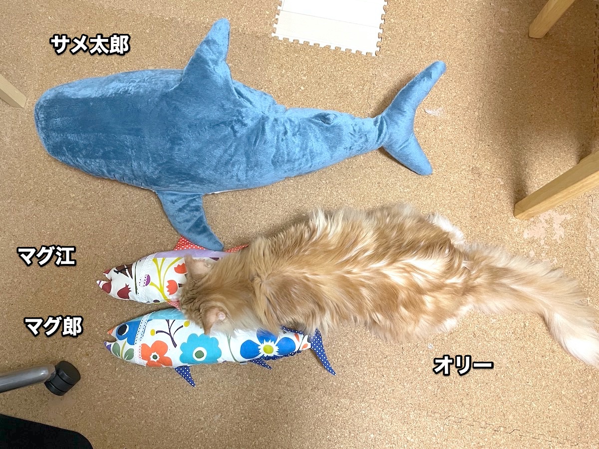 f:id:chikojirou:20201030212515j:plain f:id:chikojirou:20201030212515j:plain