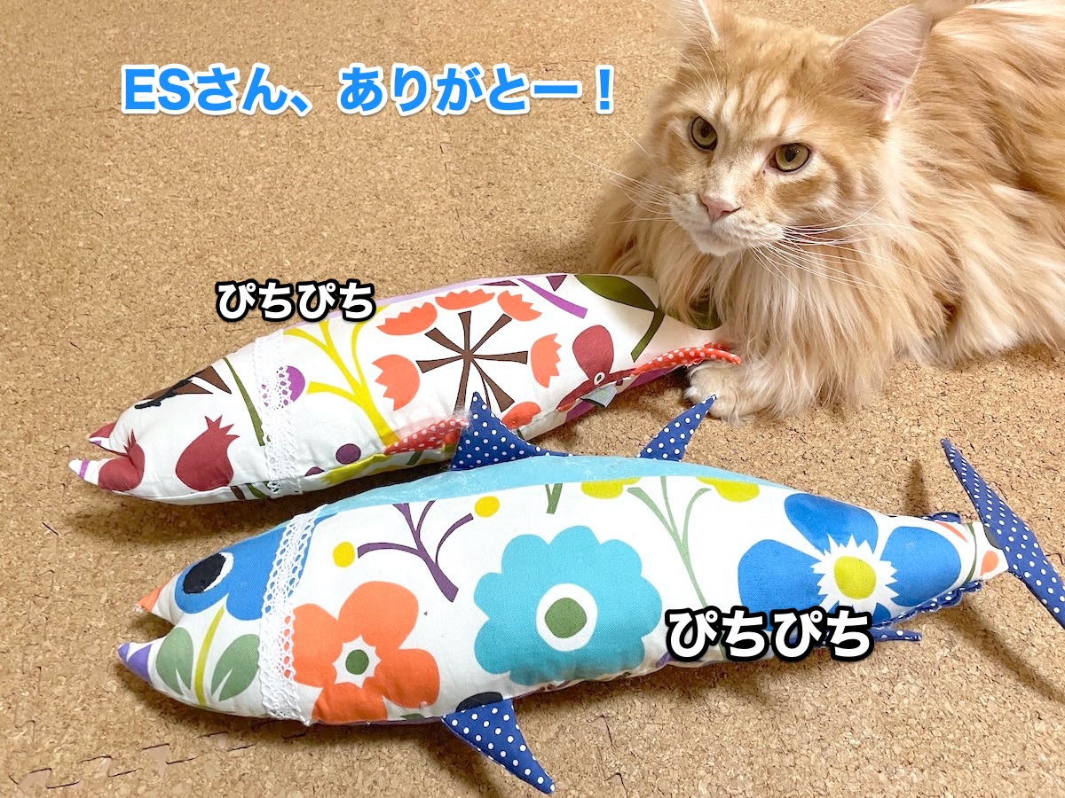 f:id:chikojirou:20201030212518j:plain f:id:chikojirou:20201030212518j:plain