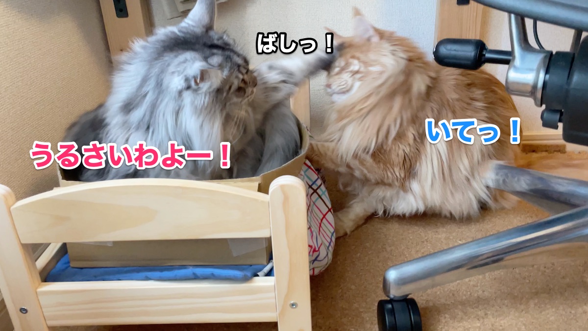 f:id:chikojirou:20201103164043j:plain f:id:chikojirou:20201103164043j:plain