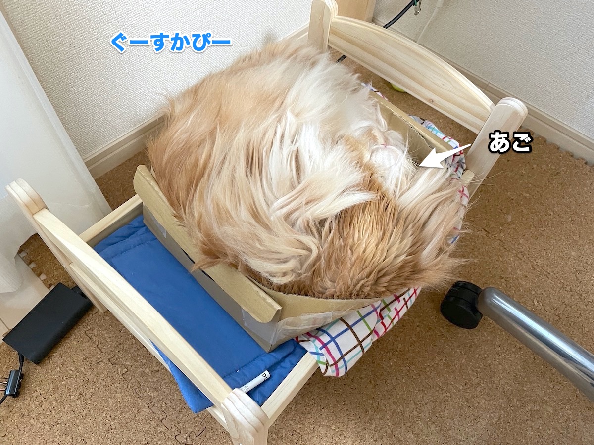 f:id:chikojirou:20201104210223j:plain