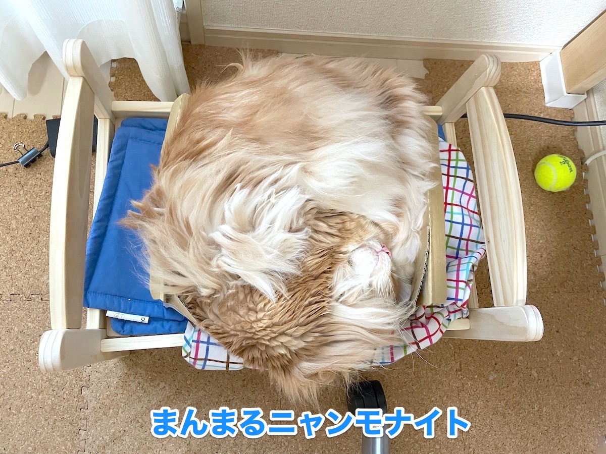 f:id:chikojirou:20201104210228j:plain