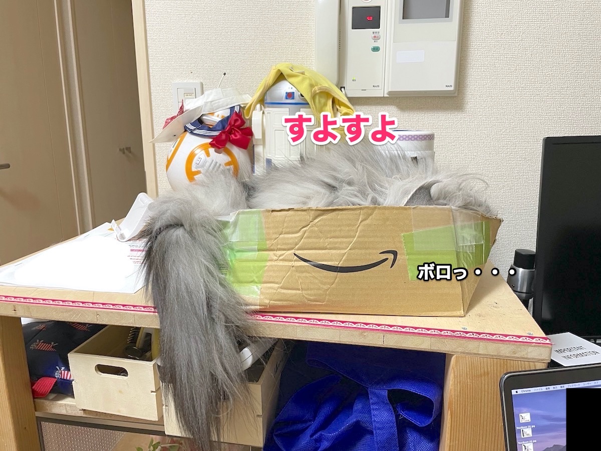 f:id:chikojirou:20201104210233j:plain