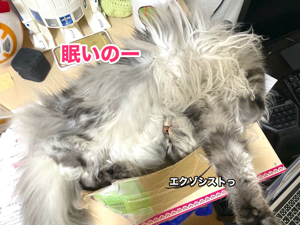 f:id:chikojirou:20201104210243j:plain