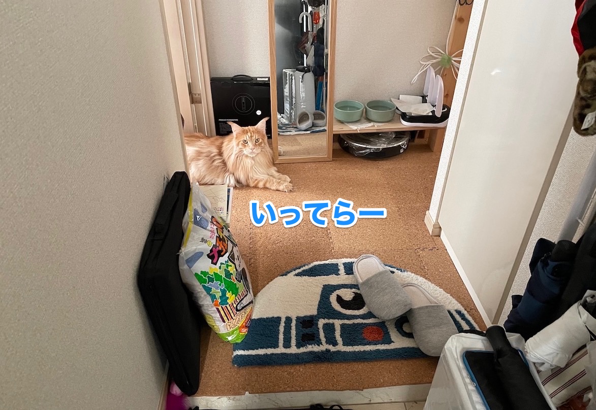 f:id:chikojirou:20201105222125j:plain