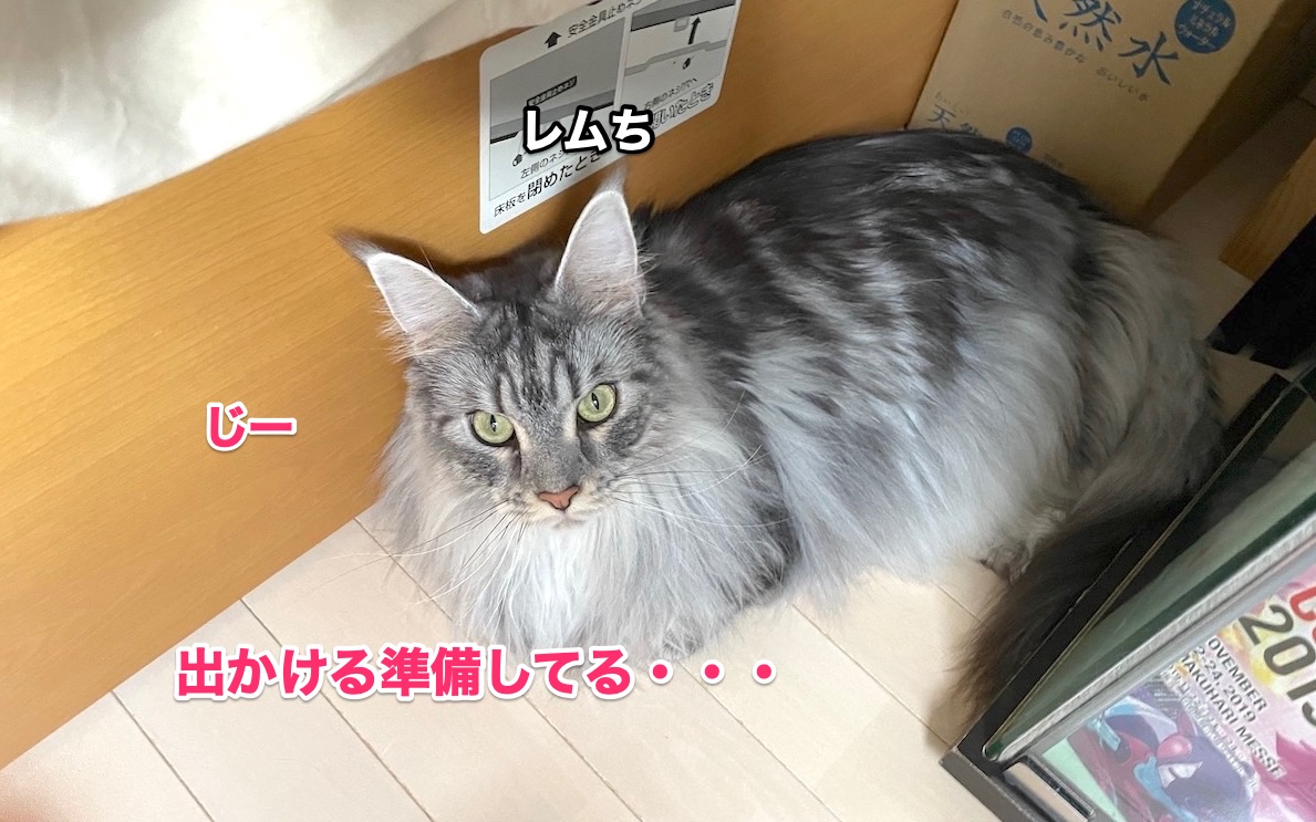f:id:chikojirou:20201109215648j:plain