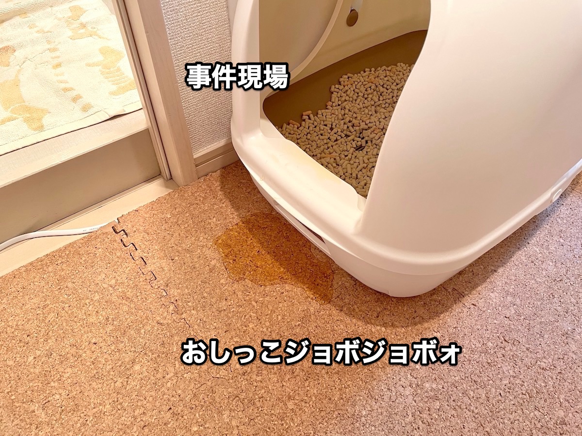 f:id:chikojirou:20201110214829j:plain