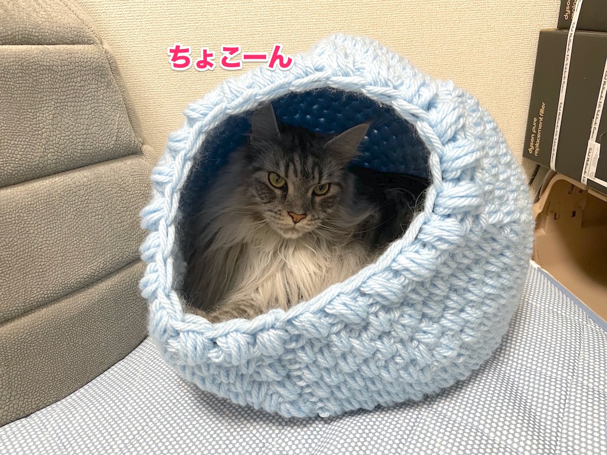 f:id:chikojirou:20201111213203j:plain