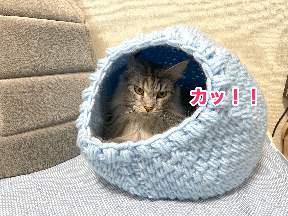 f:id:chikojirou:20201111213208j:plain