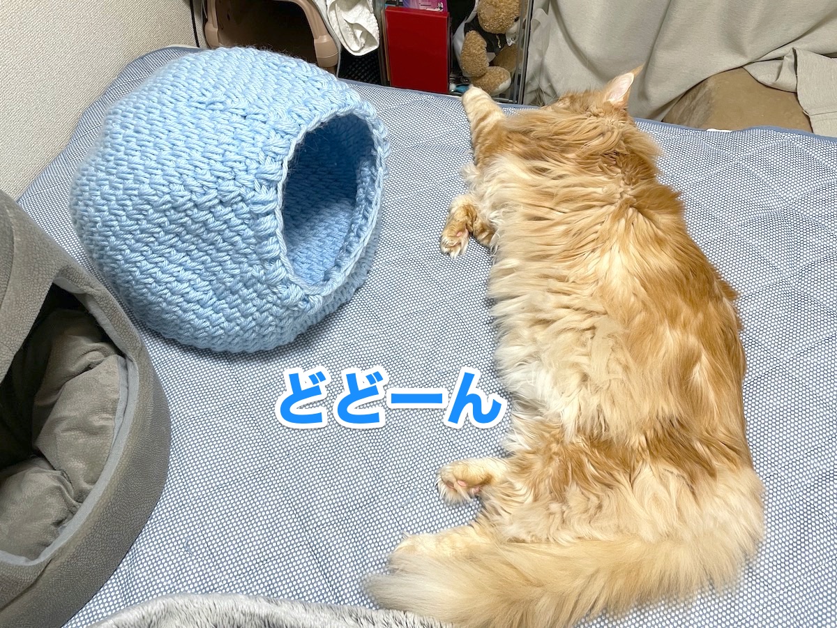 f:id:chikojirou:20201111213217j:plain