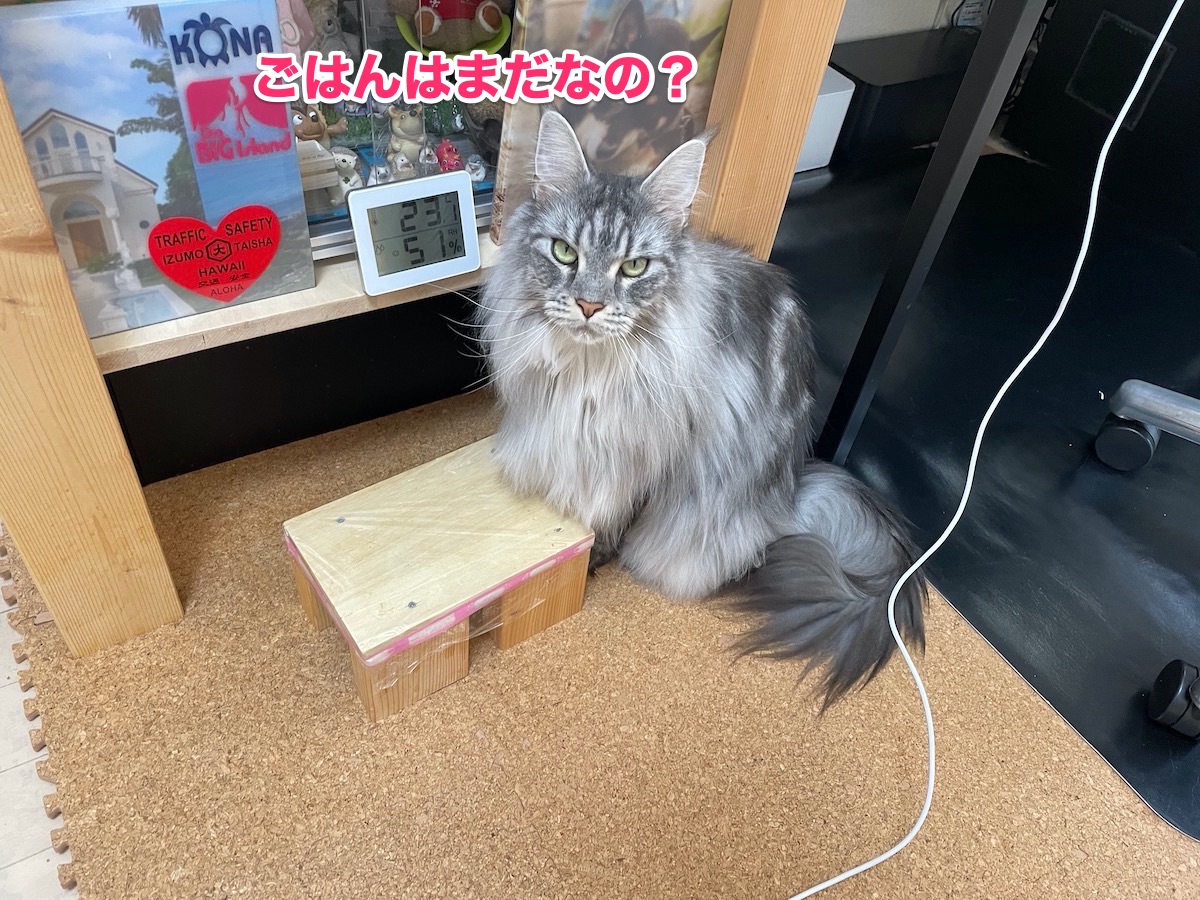 f:id:chikojirou:20201111213220j:plain