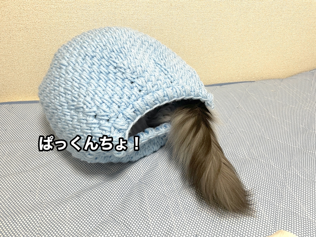 f:id:chikojirou:20201113223014j:plain