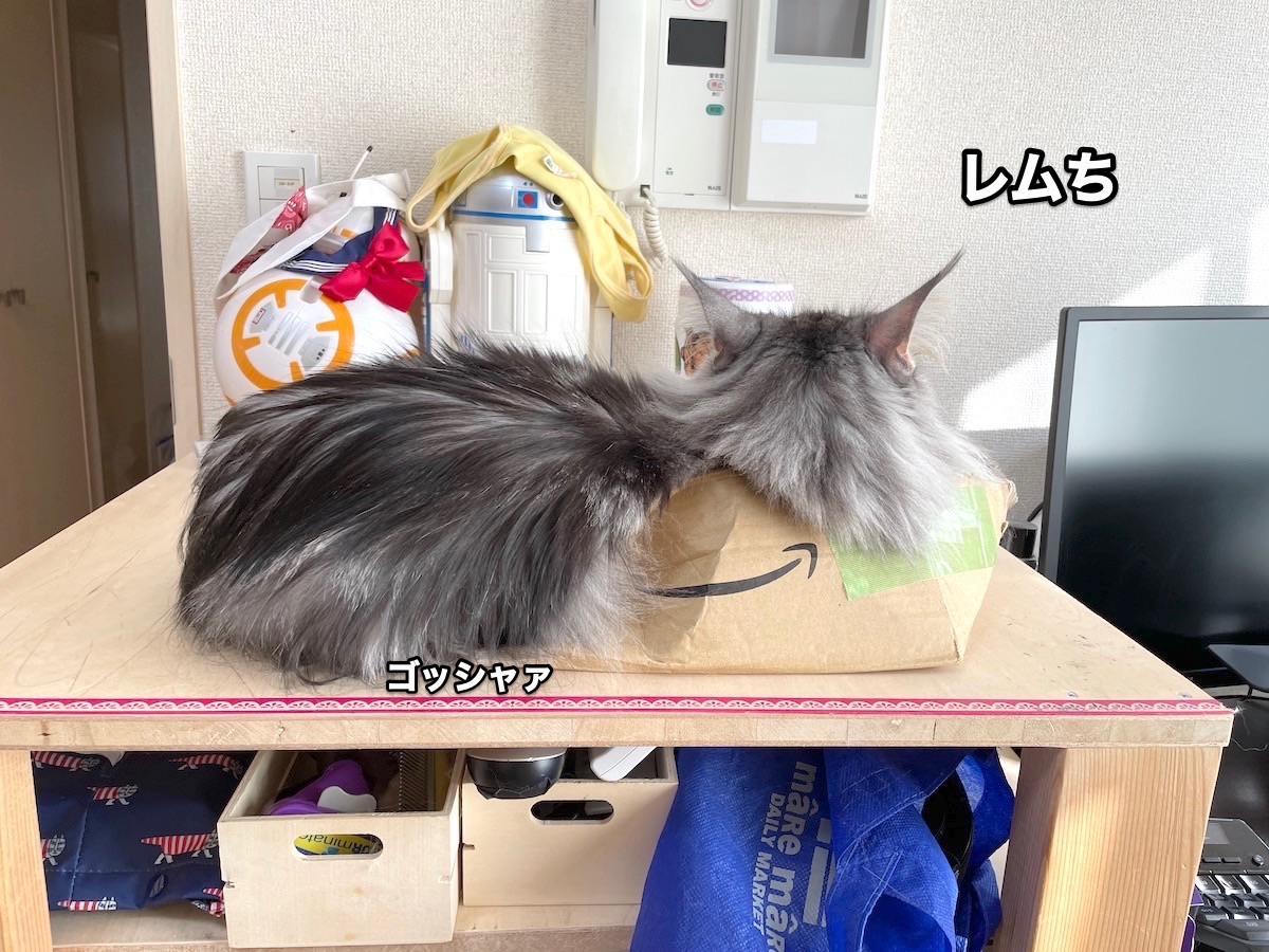 f:id:chikojirou:20201118212824j:plain
