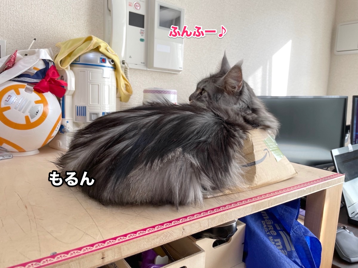 f:id:chikojirou:20201118212828j:plain