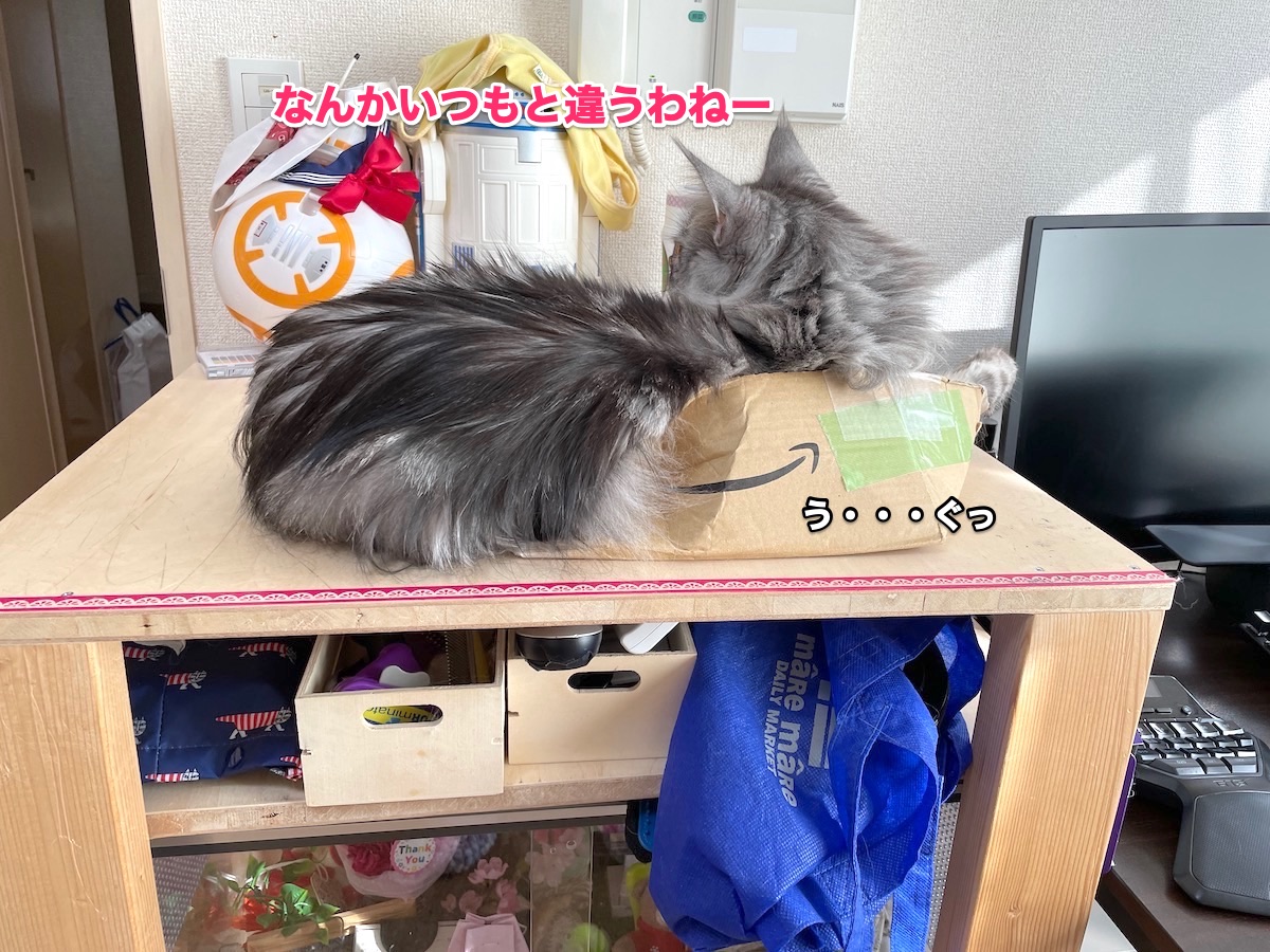 f:id:chikojirou:20201118212832j:plain