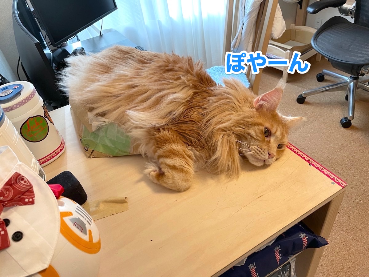 f:id:chikojirou:20201119215814j:plain