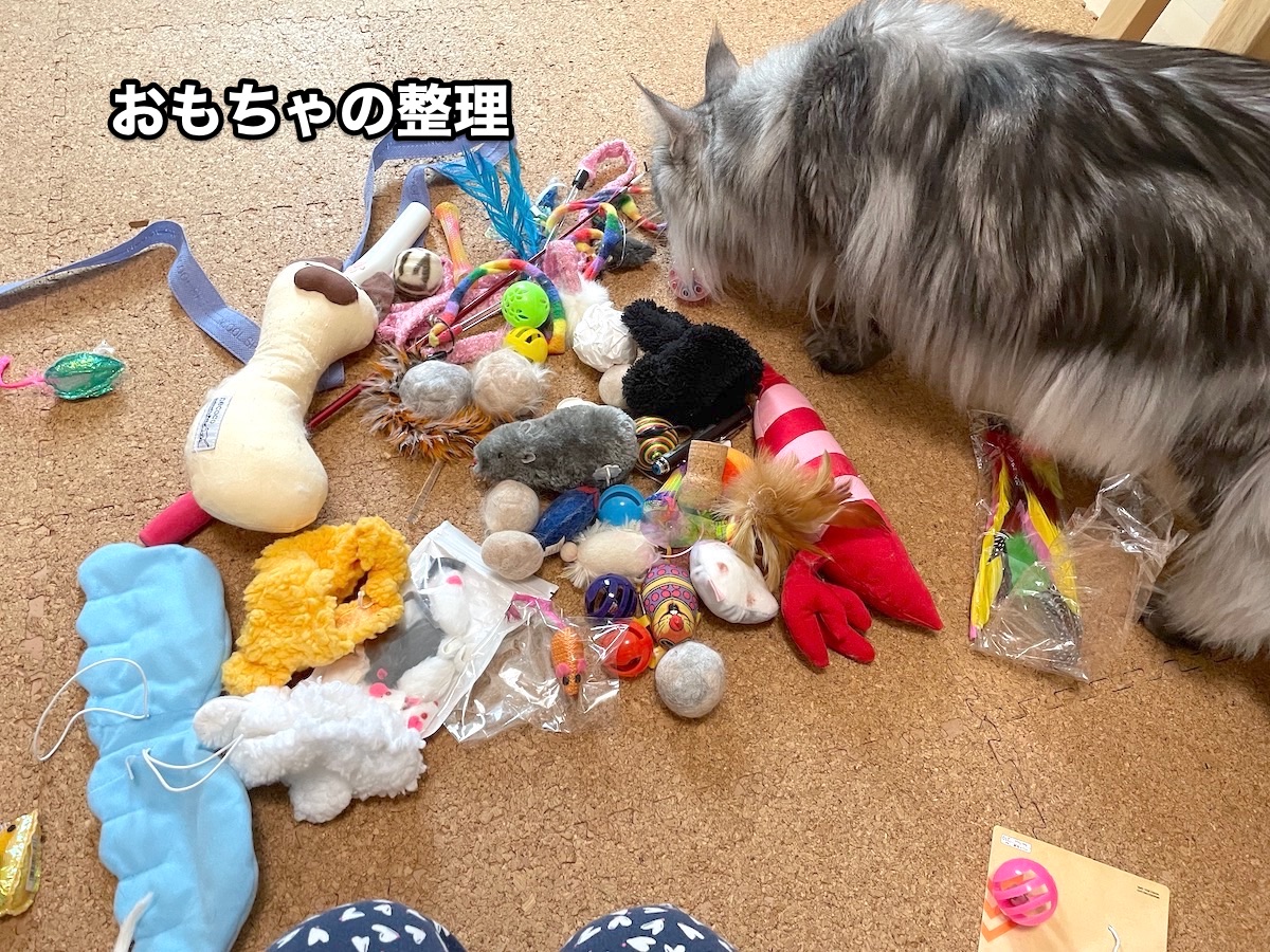 おもちゃ断捨離 けりけり枕コレクション メインクーンのオリーとレムち おもちゃ断捨離 けりけり枕コレクション メインクーンのオリーとレムち