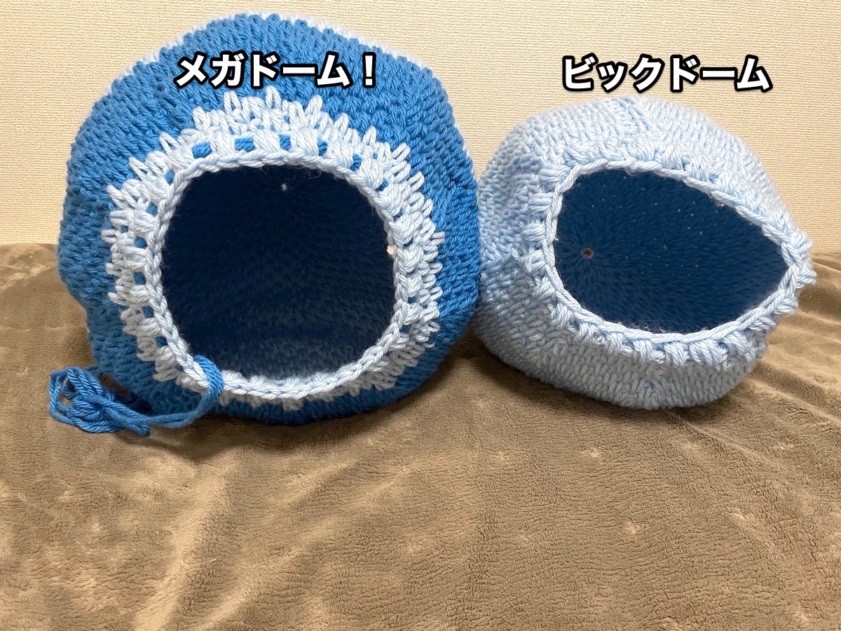 f:id:chikojirou:20201122220132j:plain