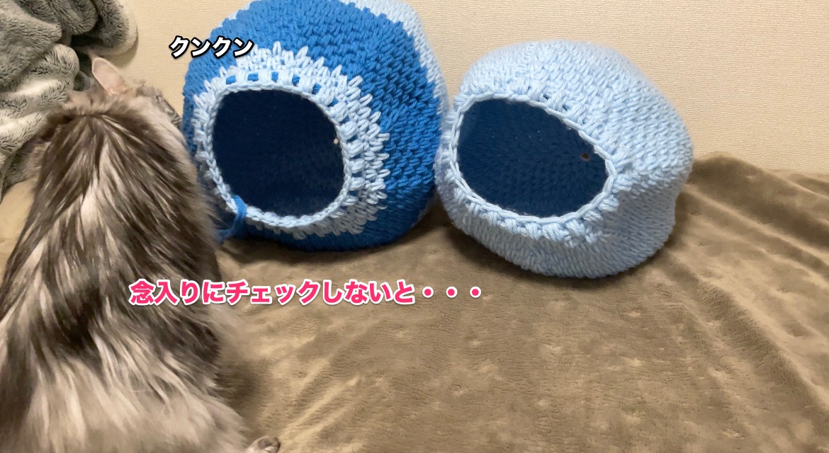 f:id:chikojirou:20201122220140j:plain