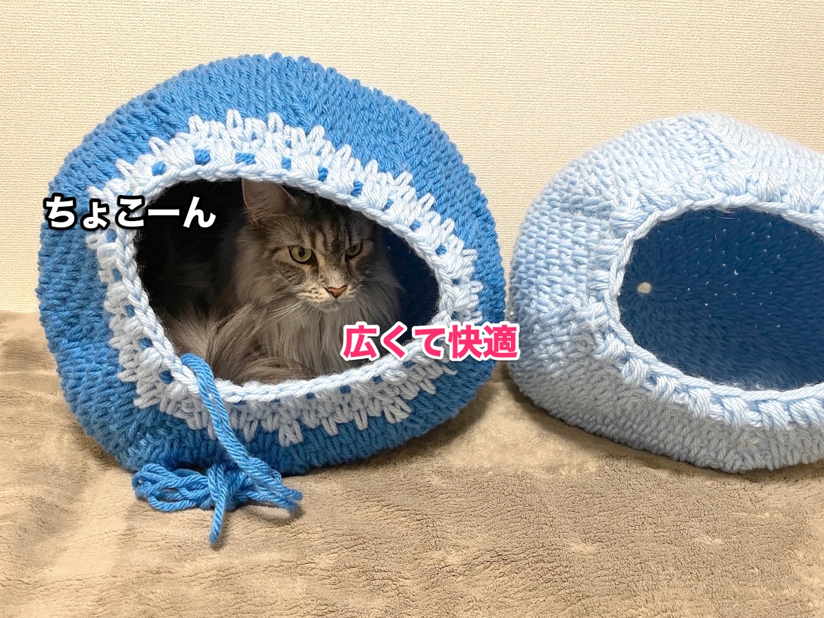 f:id:chikojirou:20201122220148j:plain