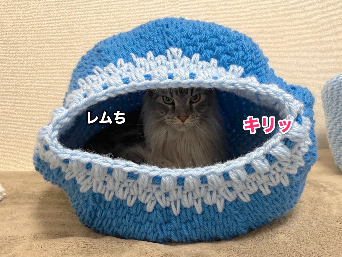 f:id:chikojirou:20201123214915j:plain