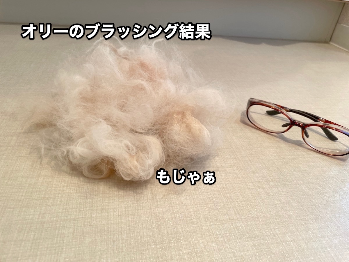 f:id:chikojirou:20201123214919j:plain