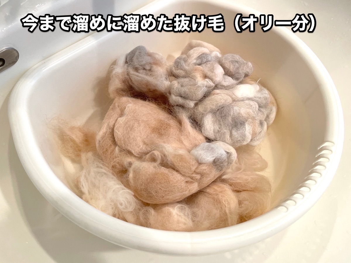 f:id:chikojirou:20201123214934j:plain