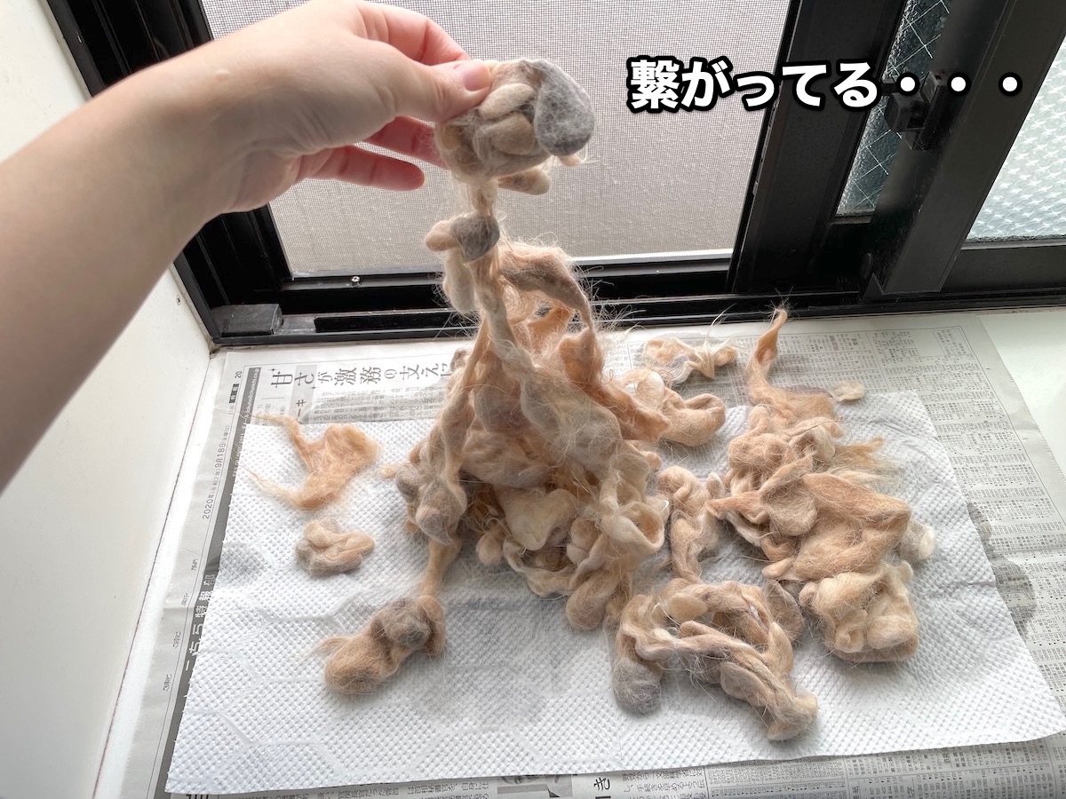 f:id:chikojirou:20201123214942j:plain