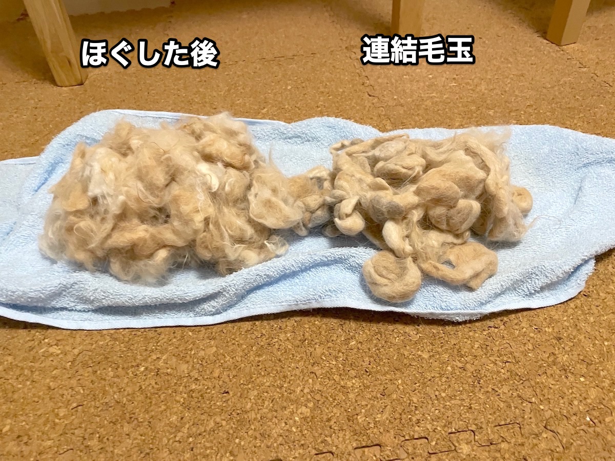 f:id:chikojirou:20201123214945j:plain